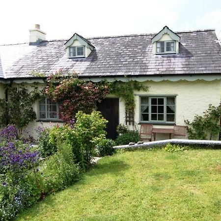 DryslwynParc Y Brenin别墅 外观 照片